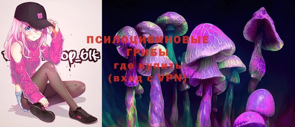 стаф Гусиноозёрск